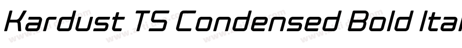 Kardust TS Condensed Bold Italic字体转换